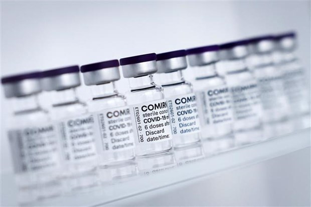 COVID-19 : le Vietnam propose à Pfizer de coopérer dans la production de médicaments ảnh 1 COVID-19 : le Vietnam propose à Pfizer de coopérer dans la production de médicaments ảnh 1