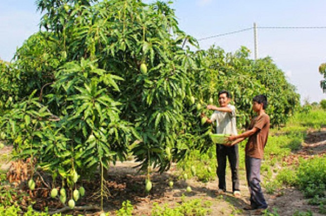 Presto, risoluto, energico… ảnh 2 Presto, risoluto, energico… ảnh 2