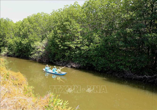 Approbation d’un projet sur la protection et le développement des forêts dans les zones côtières ảnh 2 Approbation d’un projet sur la protection et le développement des forêts dans les zones côtières ảnh 2