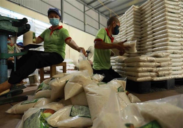 Le label «riz vietnamien» reconnu dans une vingtaine de marchés d’exportation ảnh 1 Le label «riz vietnamien» reconnu dans une vingtaine de marchés d’exportation ảnh 1