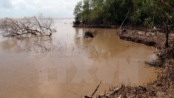 Vietnam : vers un plan d’action concret pour la résilience au changement climatique ảnh 1 Vietnam : vers un plan d’action concret pour la résilience au changement climatique ảnh 1