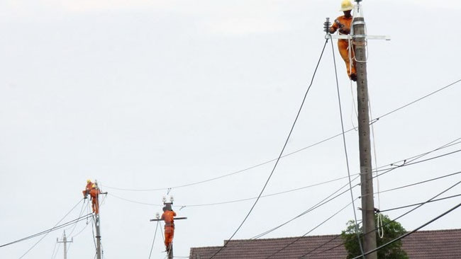 Vinh Long : promouvoir l'électrification en zone rurale ảnh 1 Vinh Long : promouvoir l'électrification en zone rurale ảnh 1