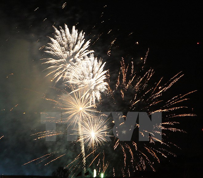 HCM-Ville : de nombreuses festivités pour saluer le Nouvel ​An ảnh 1