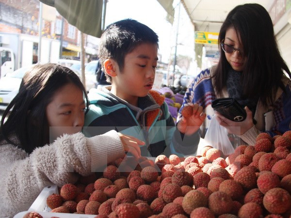 Hanoi rencontre des Viet Kieu à l'occasion du Nouvel An ảnh 1 Hanoi rencontre des Viet Kieu à l'occasion du Nouvel An ảnh 1