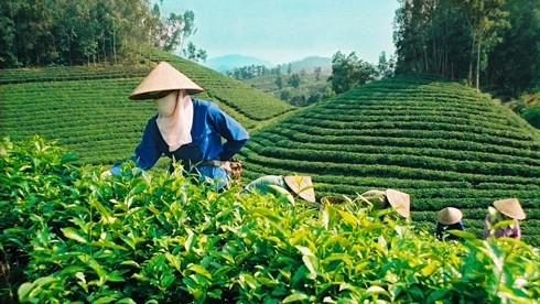 Thai Nguyên: Ouverture de la saison du tourisme 2016 ảnh 1 Thai Nguyên: Ouverture de la saison du tourisme 2016 ảnh 1