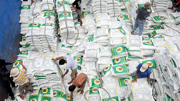 Filière rizicole: nécessité d’une diversification des marchés d’exportation ảnh 1 Filière rizicole: nécessité d’une diversification des marchés d’exportation ảnh 1