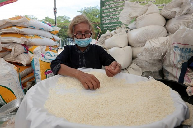 Les exportations de riz de la Thaïlande devraient dépasser huit millions de tonnes ảnh 1 Les exportations de riz de la Thaïlande devraient dépasser huit millions de tonnes ảnh 1