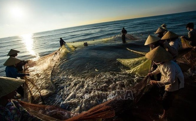 Redoubler d'efforts pour lutter contre la pêche INN vers une pêche durable ảnh 1 Redoubler d'efforts pour lutter contre la pêche INN vers une pêche durable ảnh 1