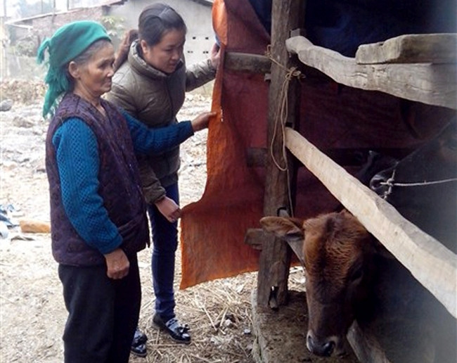 Les provinces montagneuses face à un froid rigoureux ảnh 1 Les provinces montagneuses face à un froid rigoureux ảnh 1