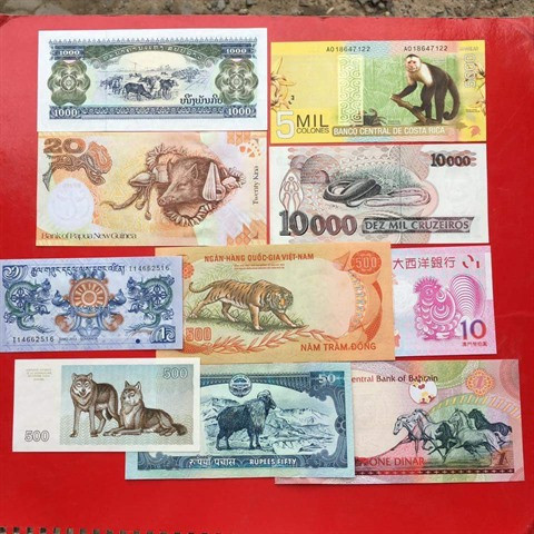 Des lì xì originaux pour le Têt du Chien ảnh 2 Des lì xì originaux pour le Têt du Chien ảnh 2