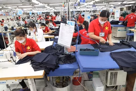 Les ressources humaines à l’heure du numérique ảnh 2