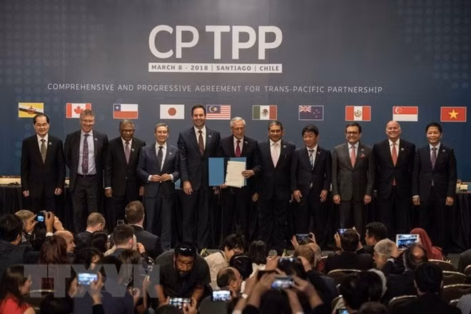 CPTPP : avantages et défis pour les entreprises de Bac Giang ảnh 1