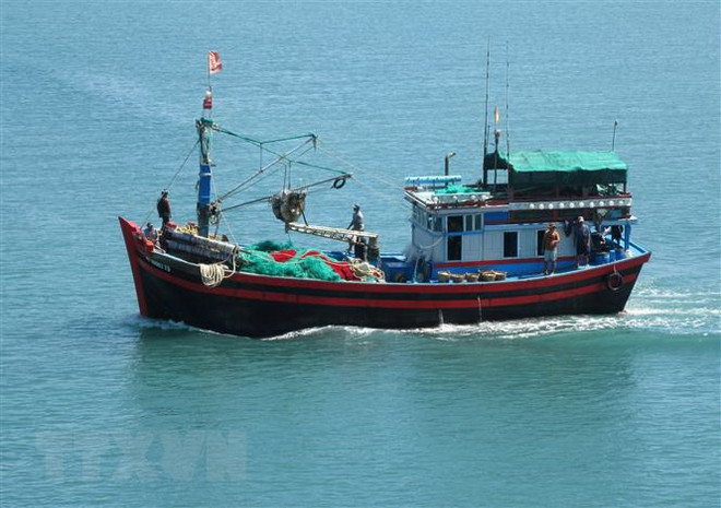 Quang Tri renforce la surveillance des bateaux pour mieux lutter contre la pêche INN ảnh 1 Quang Tri renforce la surveillance des bateaux pour mieux lutter contre la pêche INN ảnh 1