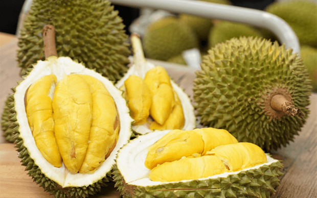 Le Royaume-Uni, un marché potentiel pour le durian vietnamien ảnh 1
