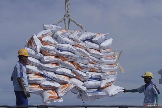 L'Indonésie signe un protocole d'accord sur l'importation d’un million de tonnes de riz d'Inde ảnh 1 L'Indonésie signe un protocole d'accord sur l'importation d’un million de tonnes de riz d'Inde ảnh 1