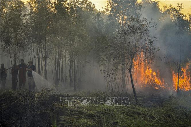 L'Indonésie prépare des mesures pour lutter contre les incendies de forêt ảnh 1 L'Indonésie prépare des mesures pour lutter contre les incendies de forêt ảnh 1