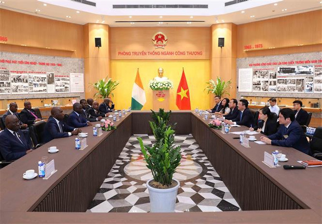 Le Vietnam et la Côte d'Ivoire promeuvent leur coopération économique et commerciale ảnh 1
