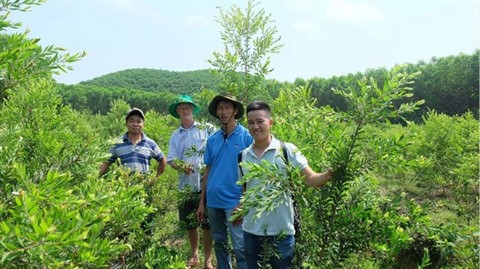 Cinq garçons au commerce des produits huilés ảnh 1 Cinq garçons au commerce des produits huilés ảnh 1
