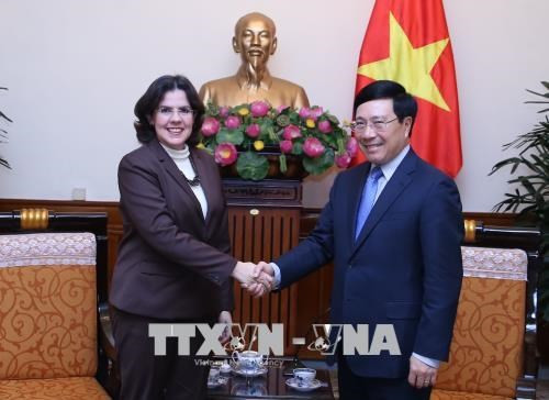 Le vice-Premier ministre Pham Binh Minh reçoit la nouvelle ambassadrice de Cuba ảnh 1 Le vice-Premier ministre Pham Binh Minh reçoit la nouvelle ambassadrice de Cuba ảnh 1