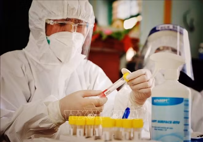 COVID-19 : le total s’établit désormais à 4.883 cas confirmés ảnh 1