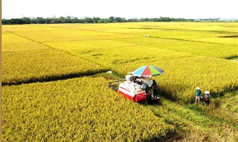Les produits agricoles vietnamiens conquièrent le monde ảnh 1 Les produits agricoles vietnamiens conquièrent le monde ảnh 1