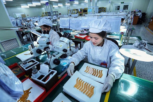 IDE : Vietnam était une destination attrayante grâce à sa croissance et son économie stable ảnh 2