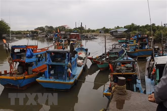 Le Vietnam prêt à faire face au typhon USAGI ảnh 1