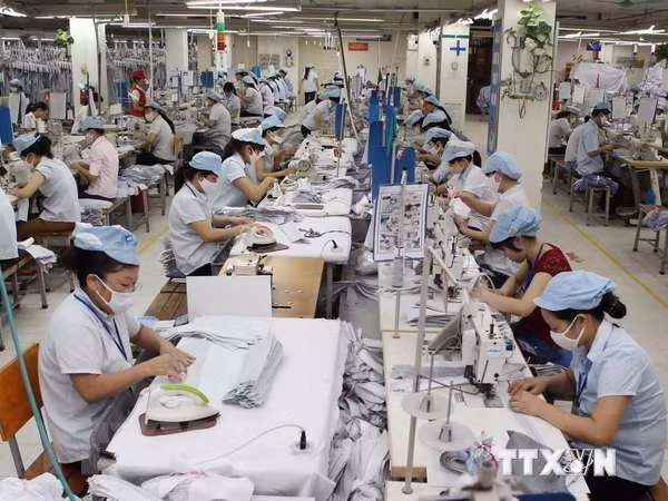Textile - habillement : Vinatex vise une croissance des exportations de 8% en 2019 ảnh 1