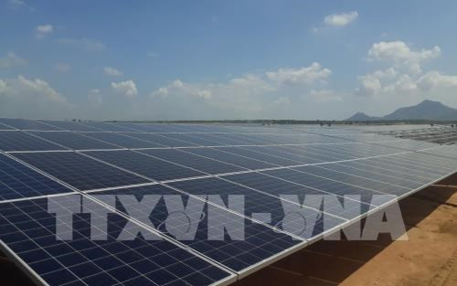 Khanh Hoa envisage de mettre en service des centrales solaires l'année prochaine ảnh 1 Khanh Hoa envisage de mettre en service des centrales solaires l'année prochaine ảnh 1