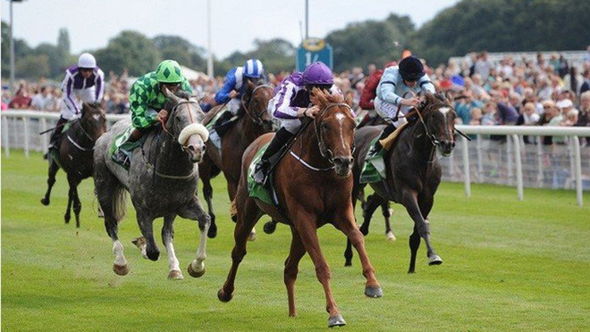 Hanoï construira un hippodrome ảnh 1 Hanoï construira un hippodrome ảnh 1