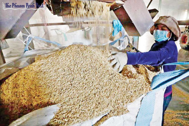 Le Cambodge voit ses exportations de riz diminuer ces 11 derniers mois ảnh 1 Le Cambodge voit ses exportations de riz diminuer ces 11 derniers mois ảnh 1