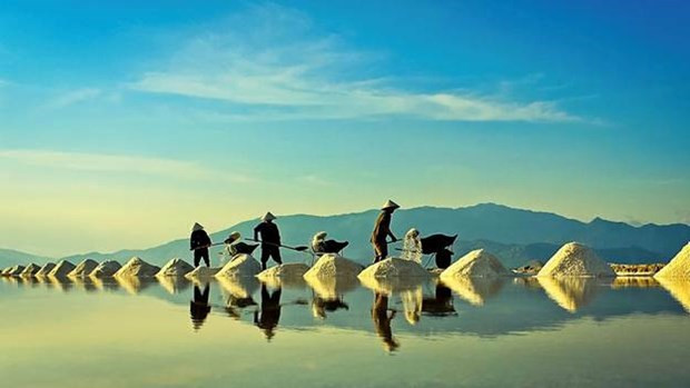 La magnifique beauté des champs de sel à Ninh Thuan ảnh 3