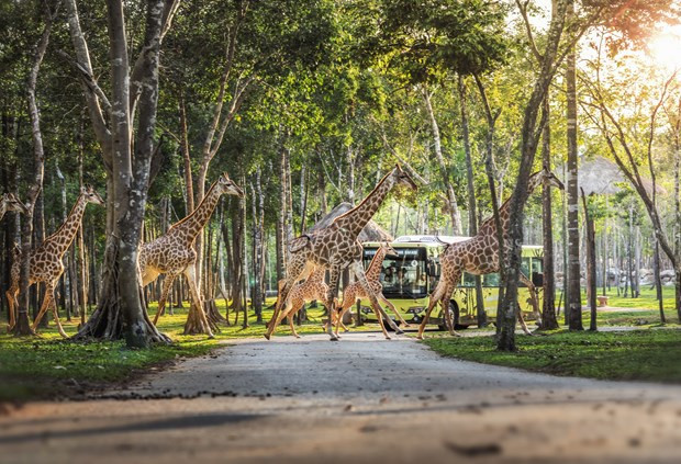 Mise en ligne d’une page spéciale sur le tourisme au Vietnam ảnh 3 Mise en ligne d’une page spéciale sur le tourisme au Vietnam ảnh 3