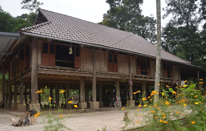 Maisons sur pilotis uniques des Muong, une particularité de Thanh Hoa ảnh 1 Maisons sur pilotis uniques des Muong, une particularité de Thanh Hoa ảnh 1