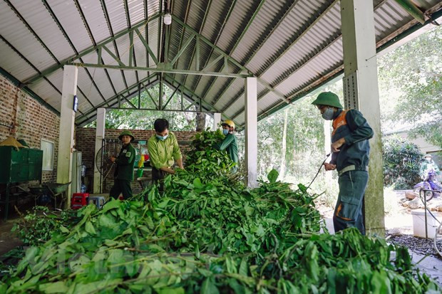 Centre de sauvetage et de conservation des espèces sauvages précieuses de Cuc Phuong ảnh 4 Centre de sauvetage et de conservation des espèces sauvages précieuses de Cuc Phuong ảnh 4