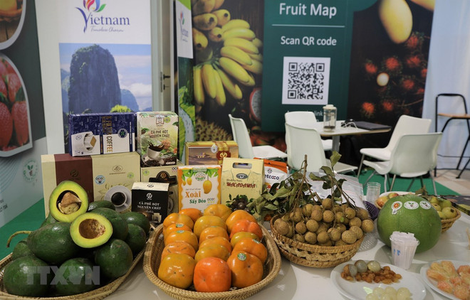 Des fruits du Vietnam présentés au salon Macfrut 2021 en Italie ảnh 1