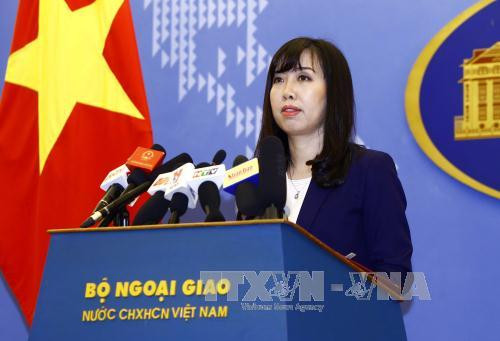 Le Vietnam prend à temps les mesures nécessaires pour protéger ses ressortissants ảnh 1