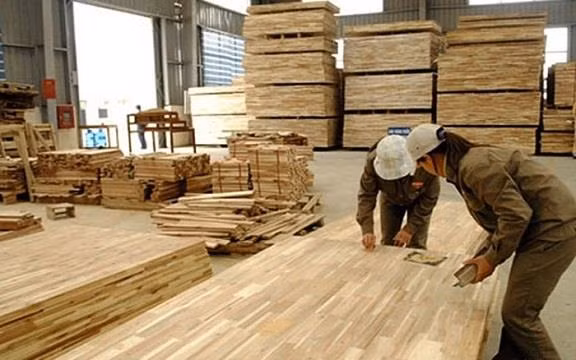 Bond de plus de 18% des exportations de produits forestiers durant les huit premiers mois ảnh 1