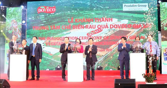 Mise en service du plus grand centre de transformation de fruits et légumes au Vietnam ảnh 1 Mise en service du plus grand centre de transformation de fruits et légumes au Vietnam ảnh 1