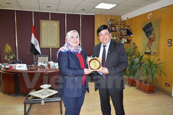 Vietnam-Egypte promeuvent leur coopération dans la radiodiffusion ảnh 1 Vietnam-Egypte promeuvent leur coopération dans la radiodiffusion ảnh 1