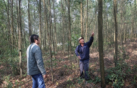 Microcrédit, l’arme de construction massive ảnh 2 Microcrédit, l’arme de construction massive ảnh 2