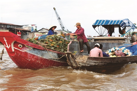 À la (re)découverte du marché flottant de Cai Rang ảnh 2 À la (re)découverte du marché flottant de Cai Rang ảnh 2