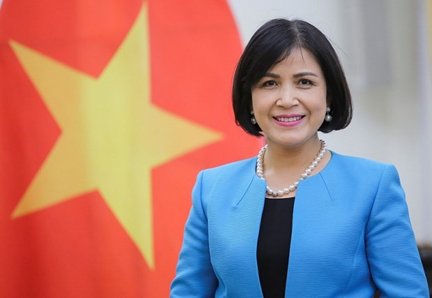 Le Vietnam assiste à la réunion du conseil exécutif du CIDHG ảnh 1 Le Vietnam assiste à la réunion du conseil exécutif du CIDHG ảnh 1