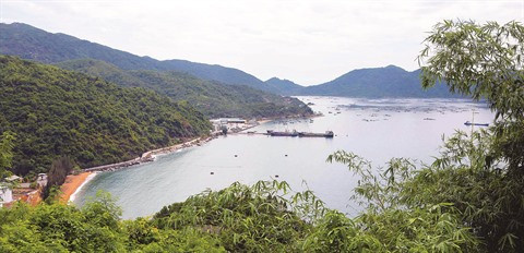 Phu Yên : Voyage grandeur nature en baie de Vung Rô ảnh 2