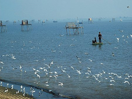 Dans la province de Nam Dinh : les joies du tourisme communautaire ảnh 1 Dans la province de Nam Dinh : les joies du tourisme communautaire ảnh 1