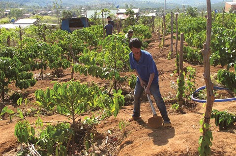 Le Tây Nguyên à la recherche d’une solution durable ảnh 1 Le Tây Nguyên à la recherche d’une solution durable ảnh 1