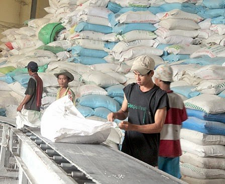 Can Tho souhaite renforcer sa coopération avec l’Australie ảnh 1 Can Tho souhaite renforcer sa coopération avec l’Australie ảnh 1