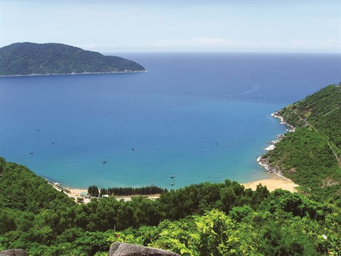 Phu Yên : Voyage grandeur nature en baie de Vung Rô ảnh 1