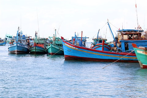 Le delta du Mékong développe son économie maritime ảnh 1 Le delta du Mékong développe son économie maritime ảnh 1