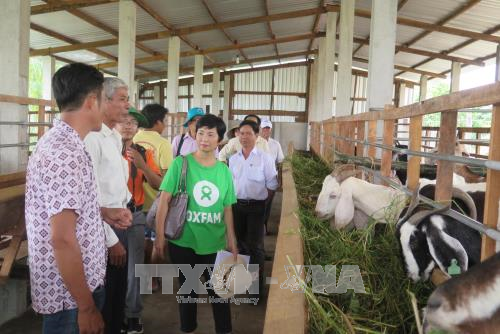 Renforcer la capacité de résilience aux changements climatiques à Ben Tre ảnh 1 Renforcer la capacité de résilience aux changements climatiques à Ben Tre ảnh 1